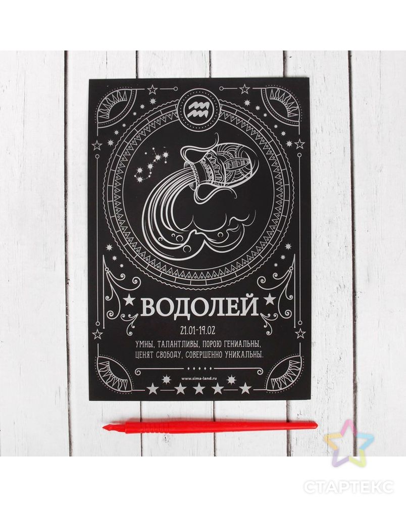 Заказать Гравюра "Водолей" с металлическим эффектом серебра А5 арт. СМЛ-3548-1-СМЛ2152900 в Новосибирске