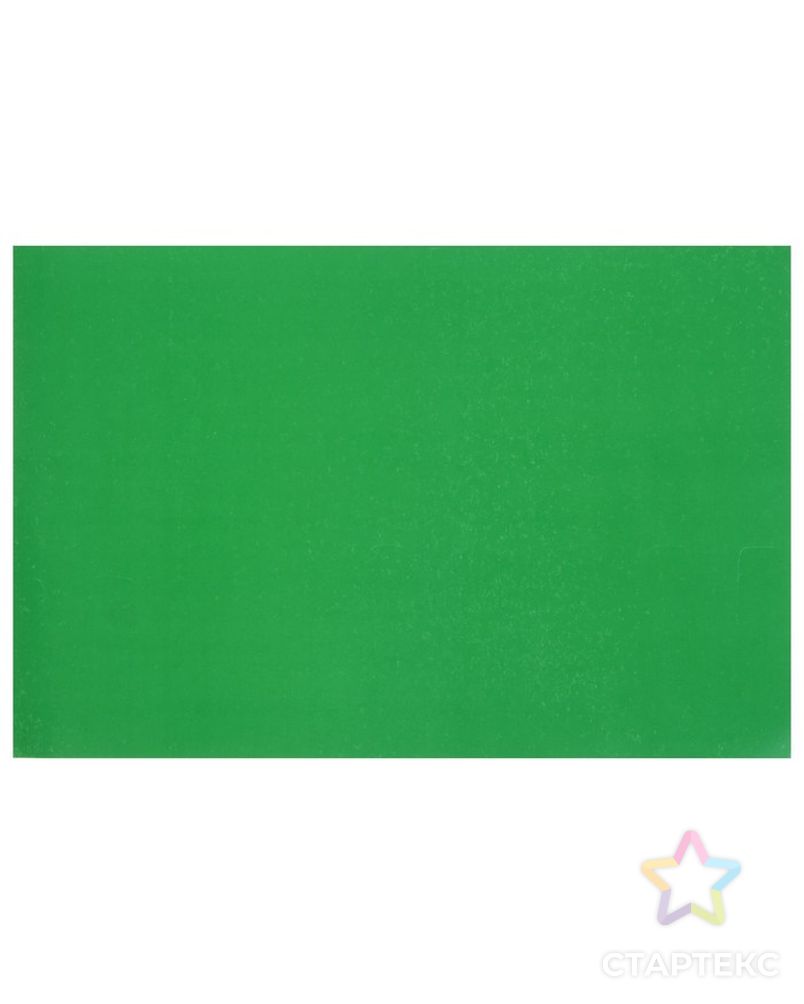 Картон цветной А4, 240 г/м2 "Нева" зелёный, мелованный арт. СМЛ-173232-1-СМЛ0002154656 1