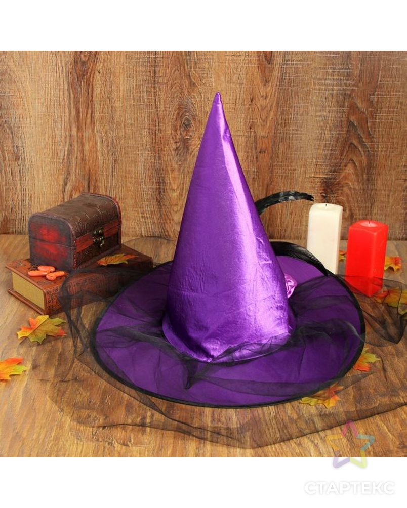 Карнавальная шляпа «Ведьмочка», с фатой, цвет чёрный арт. СМЛ-98248-3-СМЛ0002266420 2
