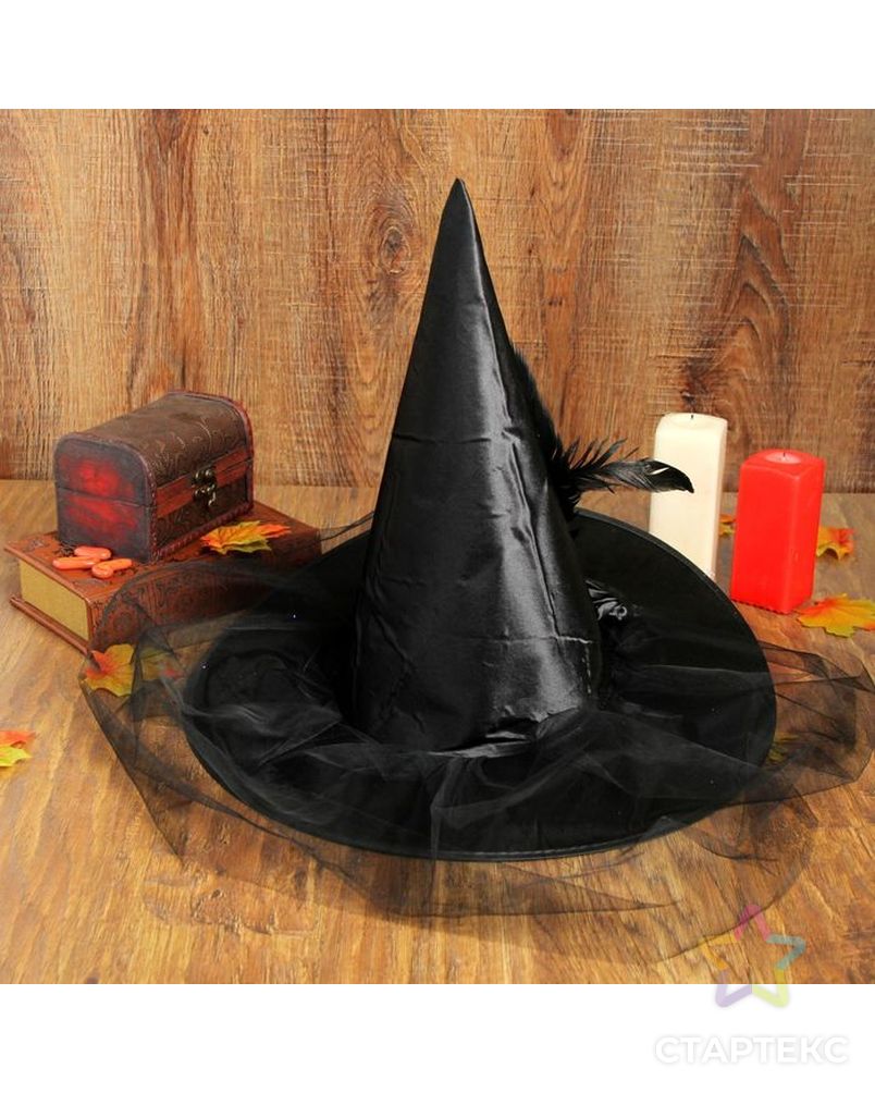 Карнавальная шляпа «Ведьмочка», с фатой, цвет чёрный арт. СМЛ-98248-1-СМЛ0002266422 2