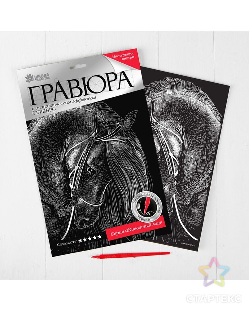 Заказать Гравюра "Лошадь" с металлическим эффектом серебра А4 арт. СМЛ-4055-1-СМЛ2286672 в Новосибирске