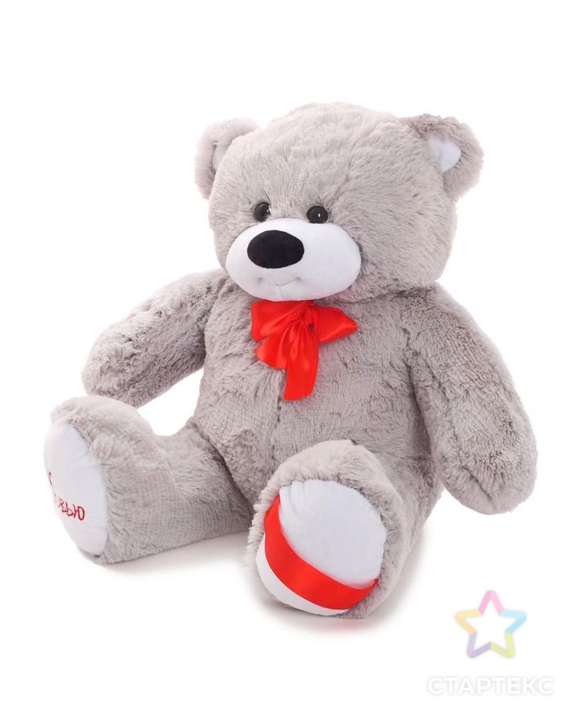 Мягкая игрушка «Медведь Захар» арт. СМЛ-100515-2-СМЛ0002325990
