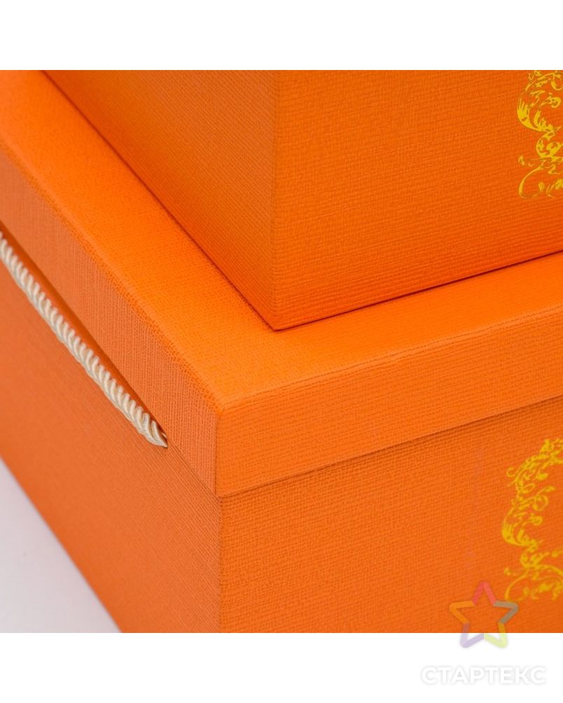 Резиновая петля "оранжевая" (нагрузка 32-82 кг. Оранжевый пакетик. Подарочный пакет оранжевый. Оранжевый 32. Оранжевый 32.