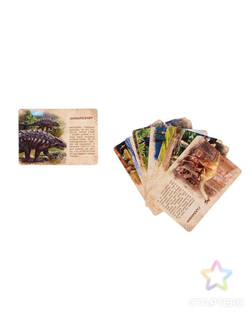 Развивающий набор «Древний мир», животные, карточки арт. СМЛ-50241-1-СМЛ0002519484 2
