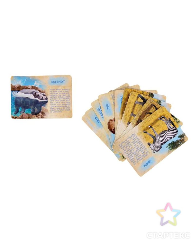 Набор животных с обучающими карточками «Дикие животные разных стран», животные пластик, карточки арт. СМЛ-50242-1-СМЛ0002519485 2