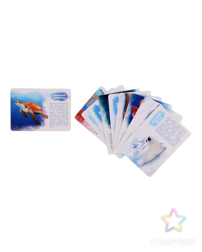 Набор животных с обучающими карточками «Подводный мир», животные пластик, карточки арт. СМЛ-50245-1-СМЛ0002519488 2