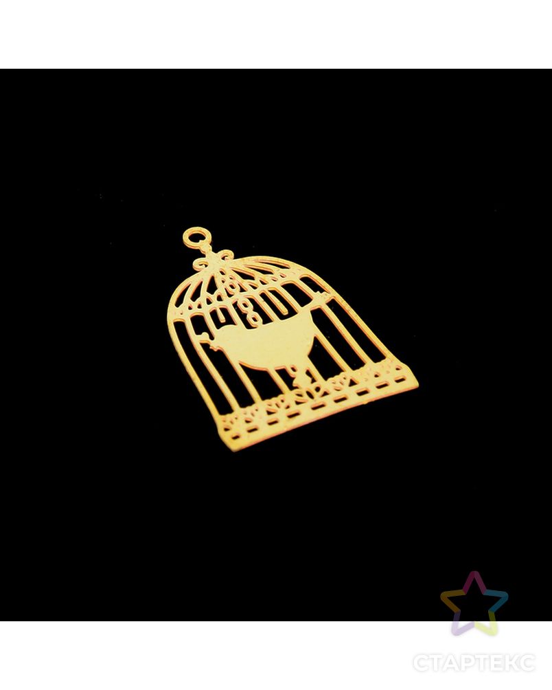 Декор для творчества металл "Птица в клетке" золото 2,2х1,6 см арт. СМЛ-5196-1-СМЛ2541186 2