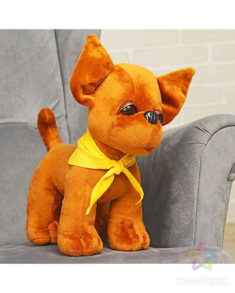 Мягкая игрушка «Собачка Чи-Хуа-Хуа», 35 см арт. СМЛ-47838-1-СМЛ0002580888 3