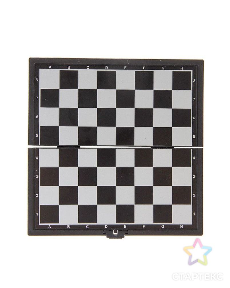 Игра настольная магнитная "Шахматы", пластик, чёрно-белые, 13х13 см арт. СМЛ-50343-1-СМЛ0002590525 5