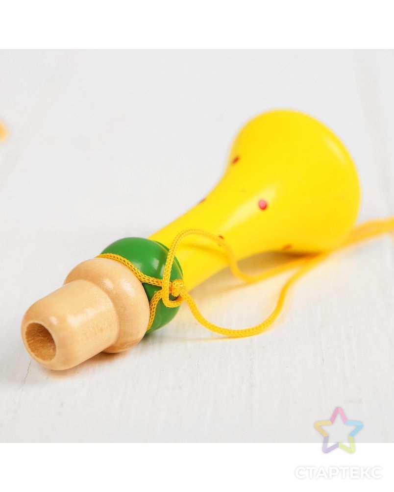 Музыкальная игрушка «Дудочка на верёвочке», цвета микс арт. СМЛ-106335-1-СМЛ0000267258 3