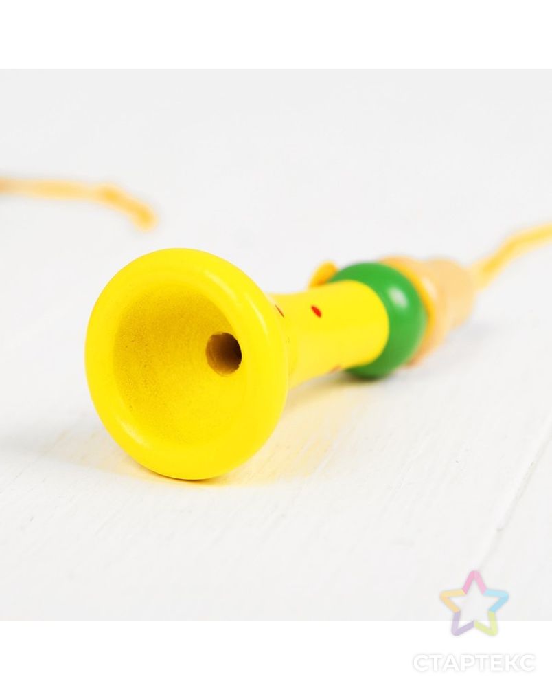 Музыкальная игрушка «Дудочка на верёвочке», цвета микс арт. СМЛ-106335-1-СМЛ0000267258 4