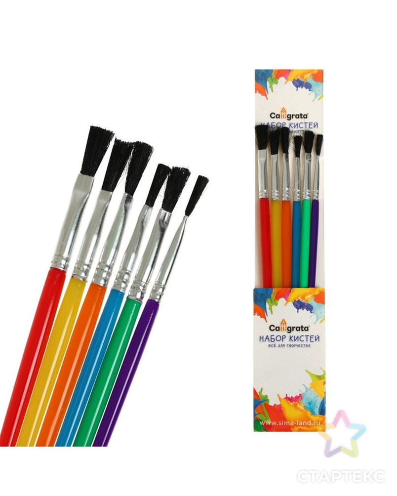Набор кистей, нейлон, плоские, 6 штук, с пластиковыми цветными ручками арт. СМЛ-224239-1-СМЛ0002691081 1