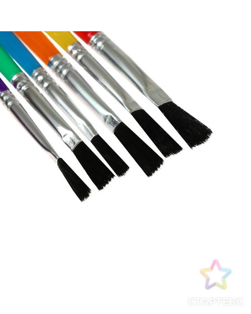 Набор кистей, нейлон, плоские, 6 штук, с пластиковыми цветными ручками арт. СМЛ-224239-1-СМЛ0002691081 3