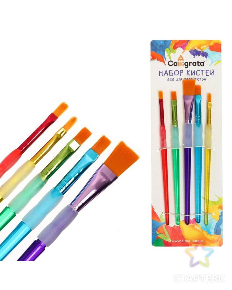 Набор кистей, нейлон, 5 штук, круглые, с цветными ручками, с резиновыми держателями арт. СМЛ-204213-1-СМЛ0002694227 5