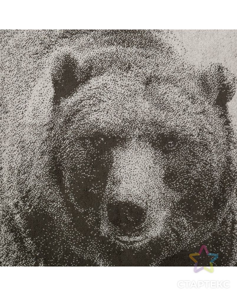 Полотенце махровое "Этель" Медведь 50х90 см, 100% хл, 420 гр/м2 арт. СМЛ-5566-1-СМЛ2715594 3