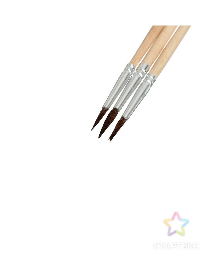 Набор кистей «Пони», круглые, 3 штуки: № 1, 2, 3, с деревянными ручками, на блистере арт. СМЛ-218077-1-СМЛ0002864414