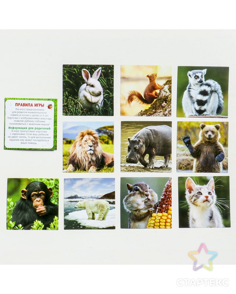 Настольная игра «Мемори мир животных», 28 карточек арт. СМЛ-108203-1-СМЛ0002920295 4
