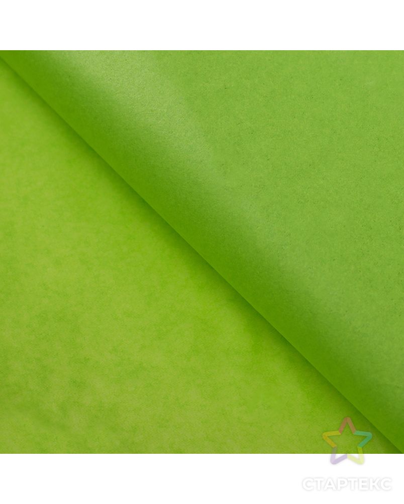 Бумага упаковочная тишью, зеленый, 50 см х 66 см уп.10 листов арт. СМЛ-54009-1-СМЛ0002932068 1