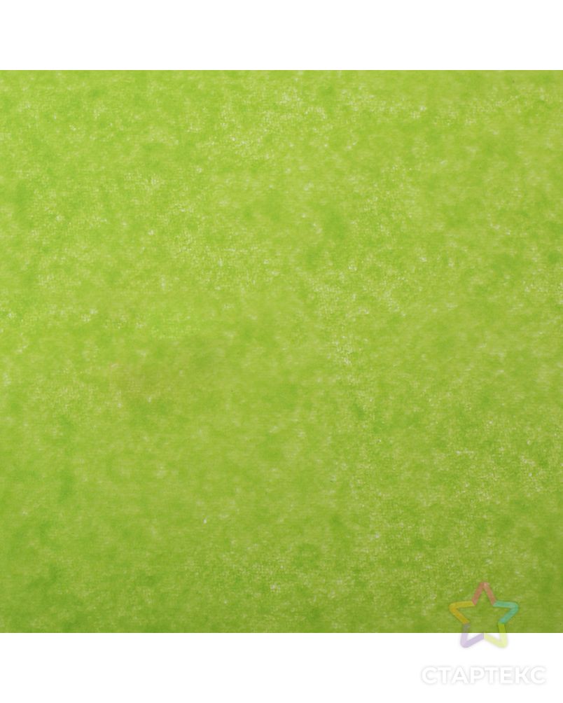 Бумага упаковочная тишью, зеленый, 50 см х 66 см уп.10 листов арт. СМЛ-54009-1-СМЛ0002932068 2