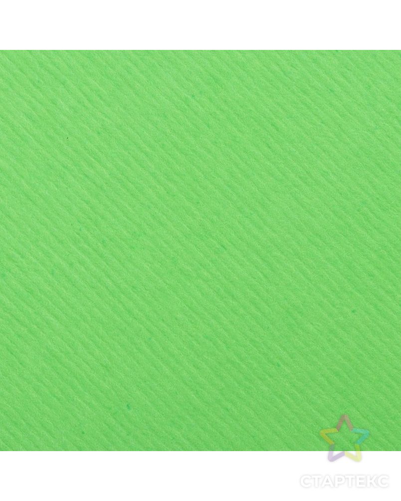 Картон цветной, двусторонний: текстурный/гладкий, 210 х 297 мм, Sadipal Fabriano Elle Erre, 220 г/м, зелёный, VERDE PISELLO арт. СМЛ-173596-1-СМЛ0002996068 4