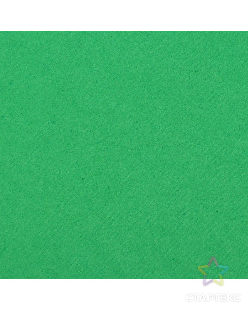 Картон цветной, Двусторонний: текстурный/гладкий, 210 х 297 мм, Sadipal Fabriano Elle Erre, 220 г/м, зелёный, VERDE арт. СМЛ-173598-1-СМЛ0002996070