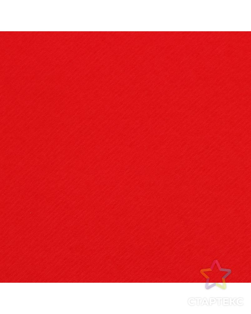 Картон цветной, Двусторонний: текстурный/гладкий, 210 х 297 мм, Sadipal Fabriano Elle Erre, 220 г/м, красный, ROSSO арт. СМЛ-173600-1-СМЛ0002996072 3