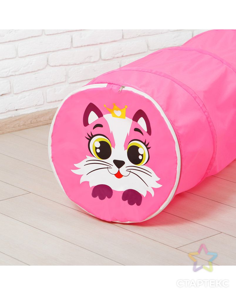 Туннель детский «Кот», цвет розовый арт. СМЛ-120765-1-СМЛ0003142297 2