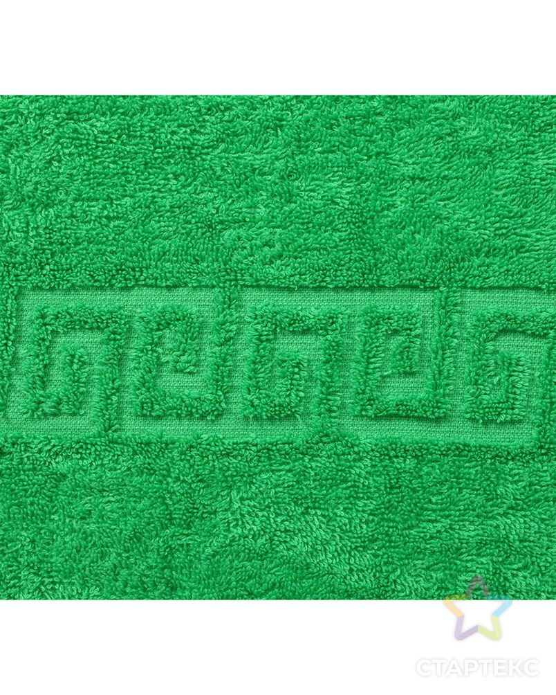 Полотенце махровое 50х90, цвет класич зеленый, 430 г/м2, 100% хлопок арт. СМЛ-21245-1-СМЛ3244821 2