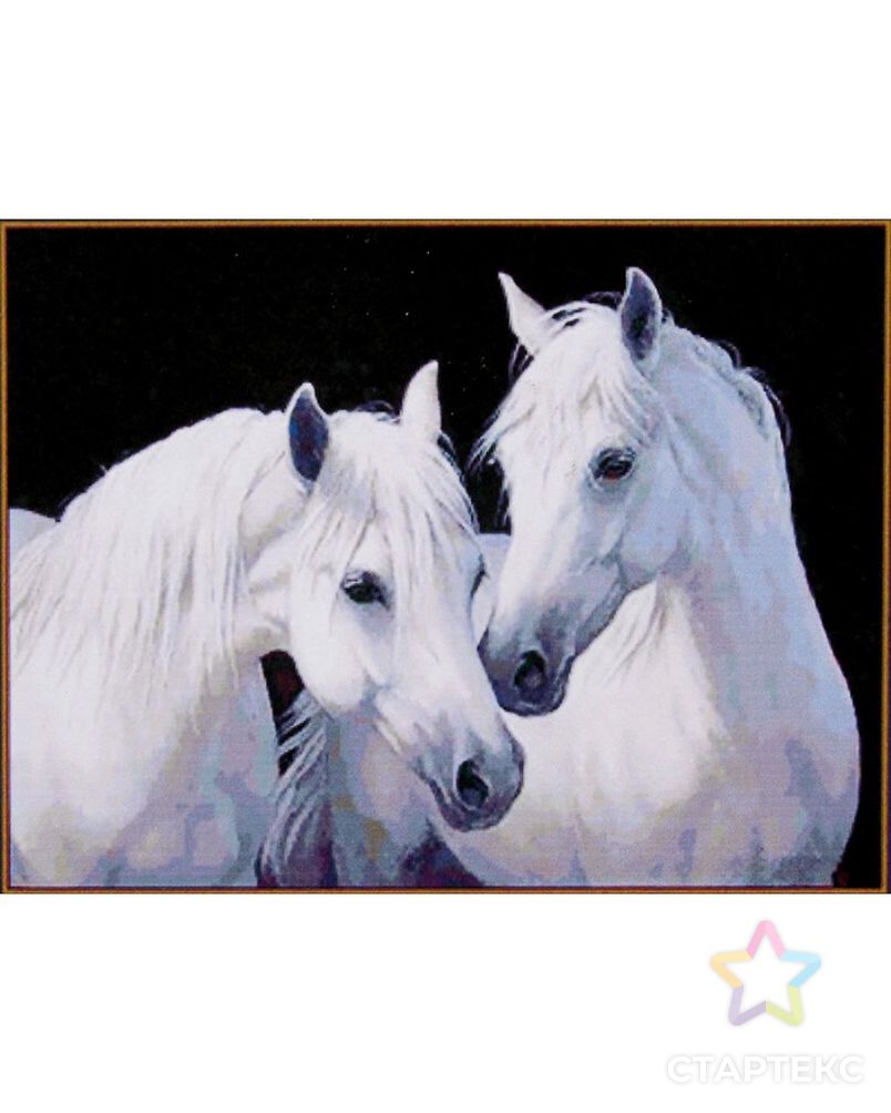 Алмазная мозаика "Пара белых лошадей", 26*20 см, 20 цветов арт. СМЛ-8374-1-СМЛ3247353