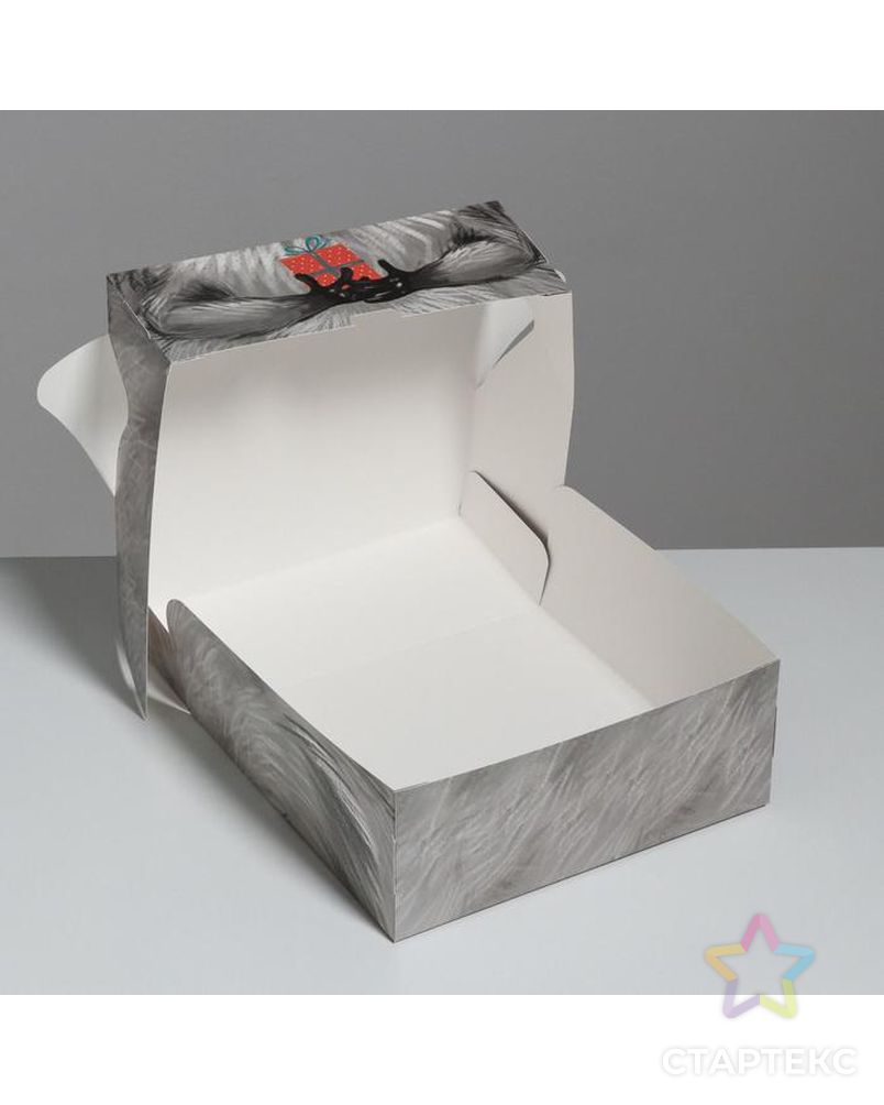 Коробка складная «Енотик», 25 × 25 × 10 см арт. СМЛ-56494-1-СМЛ0003297730 2