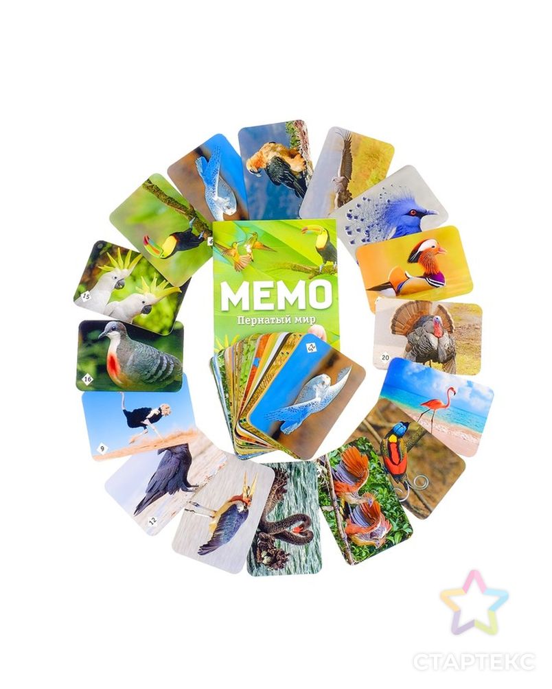 Настольная игра «Мемо. Пернатый мир», 50 карточек + познавательная брошюра арт. СМЛ-53123-1-СМЛ0003298922 2