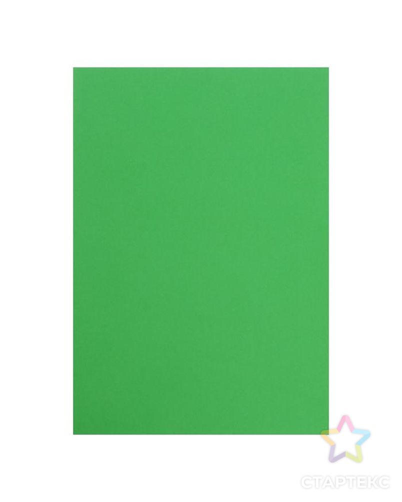 Картон цветной двухсторонний А4, 100 листов, 10 цветов, плотность 220 г/м2, BRAUBERG Kids series, тонированный арт. СМЛ-173911-1-СМЛ0003343959 15