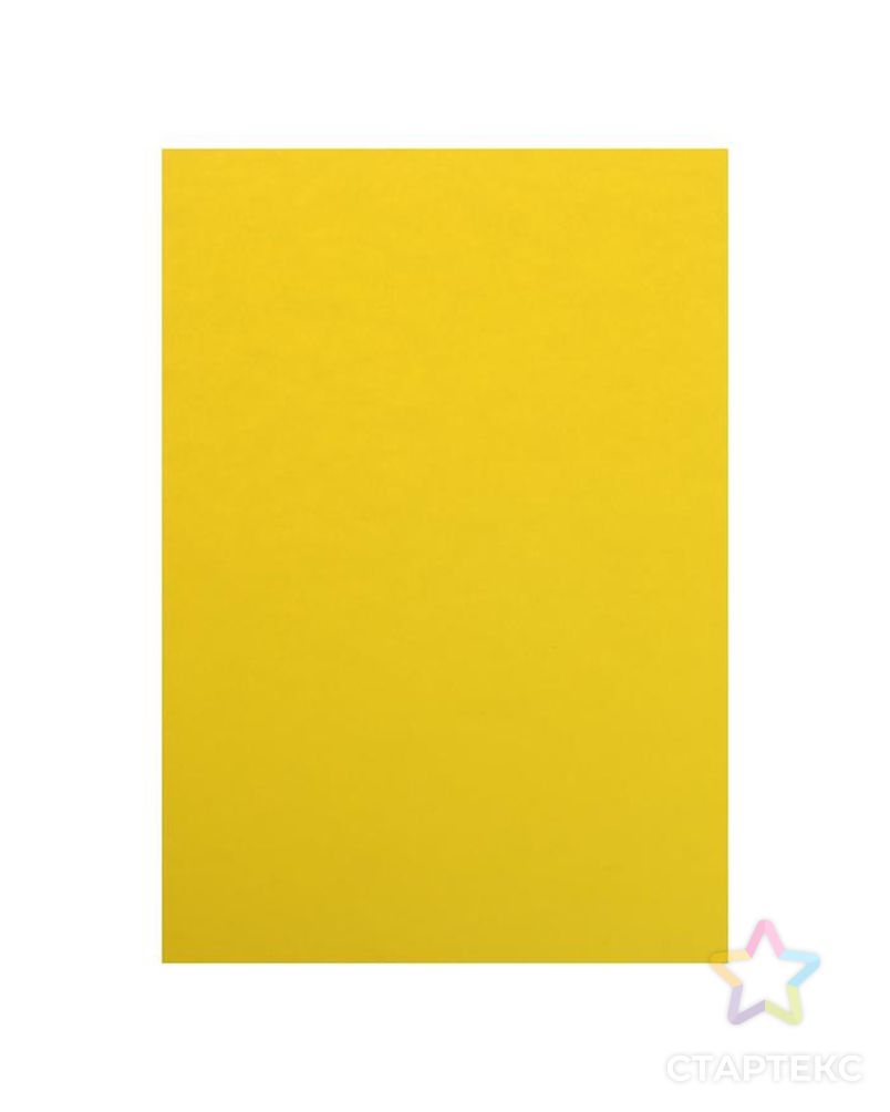 Картон цветной двухсторонний А4, 100 листов, 10 цветов, плотность 220 г/м2, BRAUBERG Kids series, тонированный арт. СМЛ-173911-1-СМЛ0003343959 21