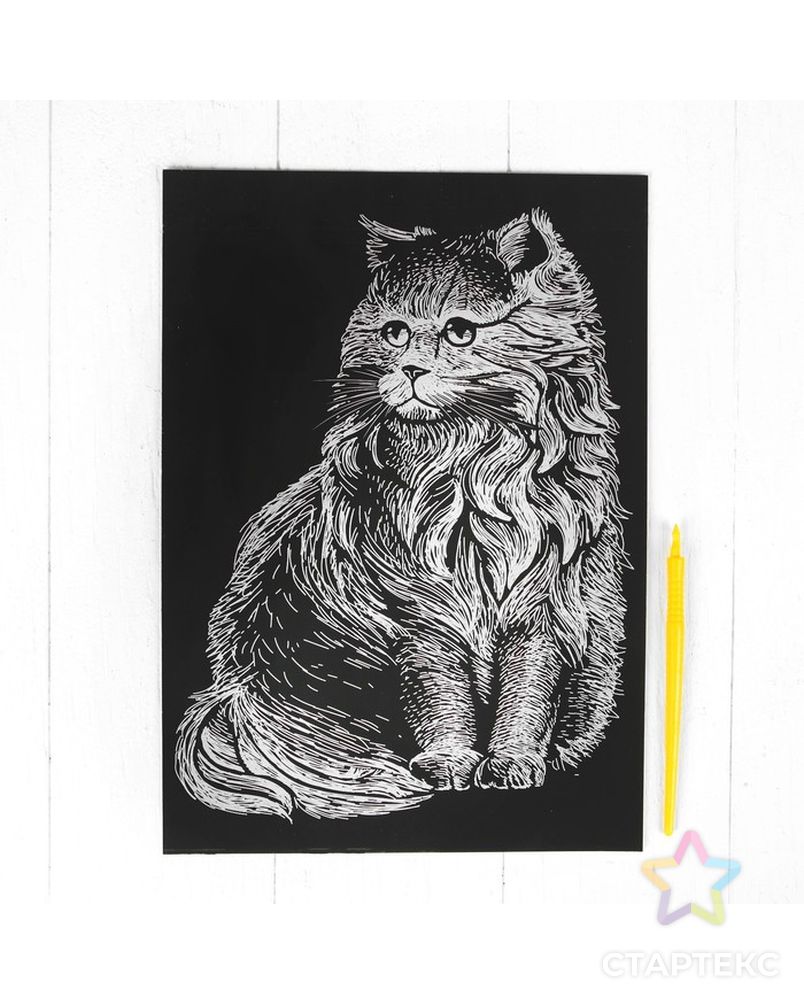 Гравюра "Персидский кот" с металлическим эффектом золота А4 арт. СМЛ-9663-1-СМЛ3366578 2