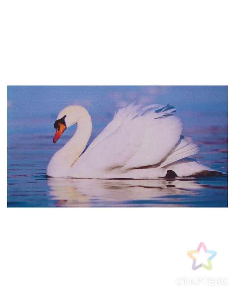 Алмазная мозаика "Лебедь", 18 цветов арт. СМЛ-9845-1-СМЛ3383999 3