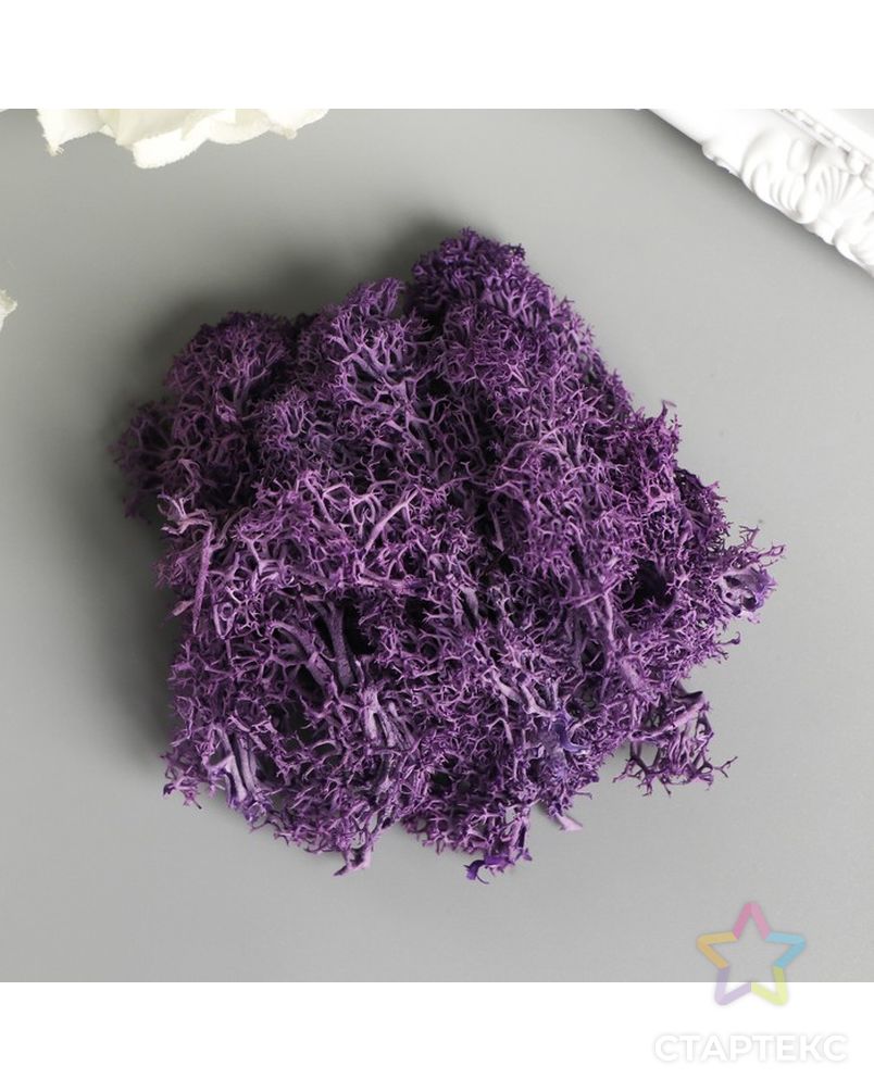 Мох искусственный "Фиолетовый" 10 гр арт. СМЛ-26306-1-СМЛ3517054 1