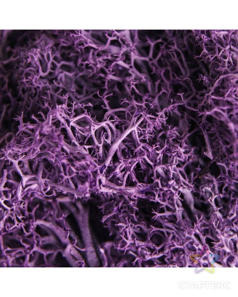 Мох искусственный "Фиолетовый" 10 гр арт. СМЛ-26306-1-СМЛ3517054 2