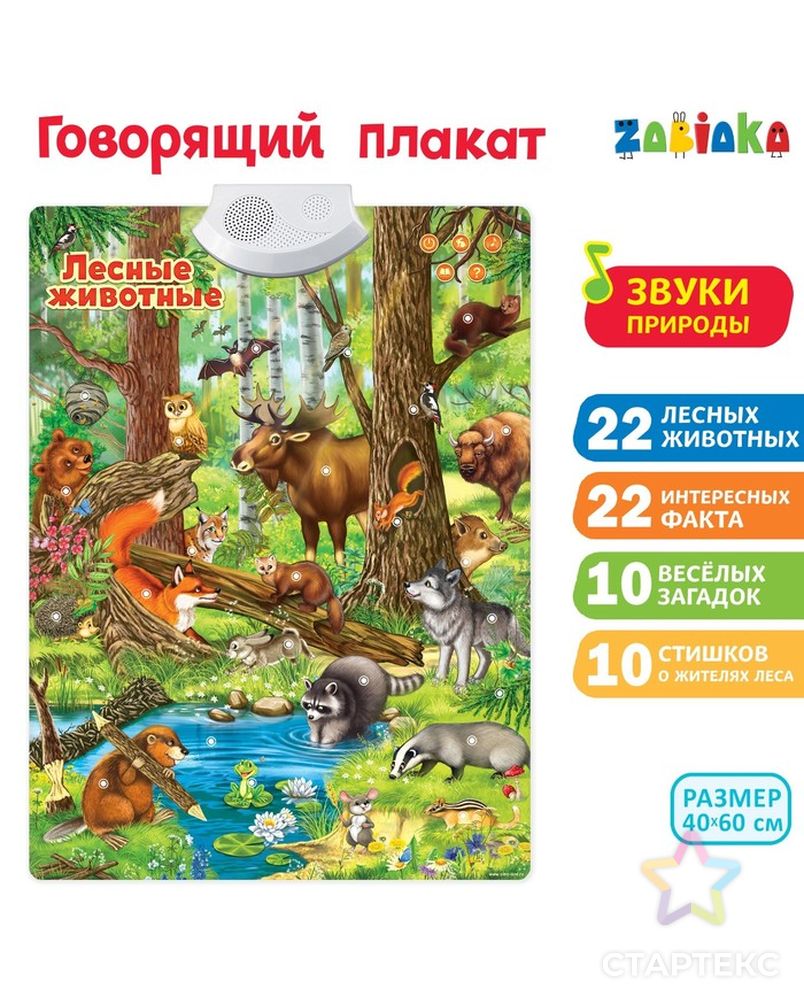 Говорящий электронный плакат «Лесные животные», работает от батареек арт. СМЛ-63947-1-СМЛ0003524462 1