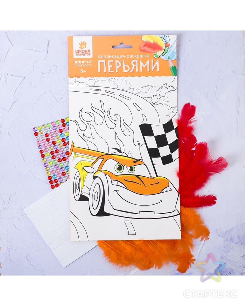 Заказать Аппликация перьями и стразами, раскраска "Машинка" арт. СМЛ-11544-1-СМЛ3550277 в Новосибирске