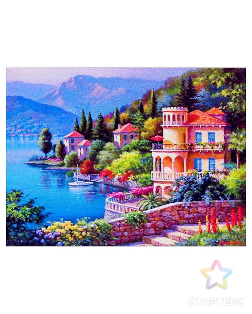 Алмазная мозаика "Мечта" 40 × 30 см, 36 цветов арт. СМЛ-12311-1-СМЛ3594502 1