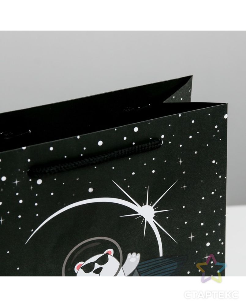 Пакет ламинированный вертикальный «Космос ждёт», ML 23 × 27 × 8 см арт. СМЛ-97782-2-СМЛ0003680860 3