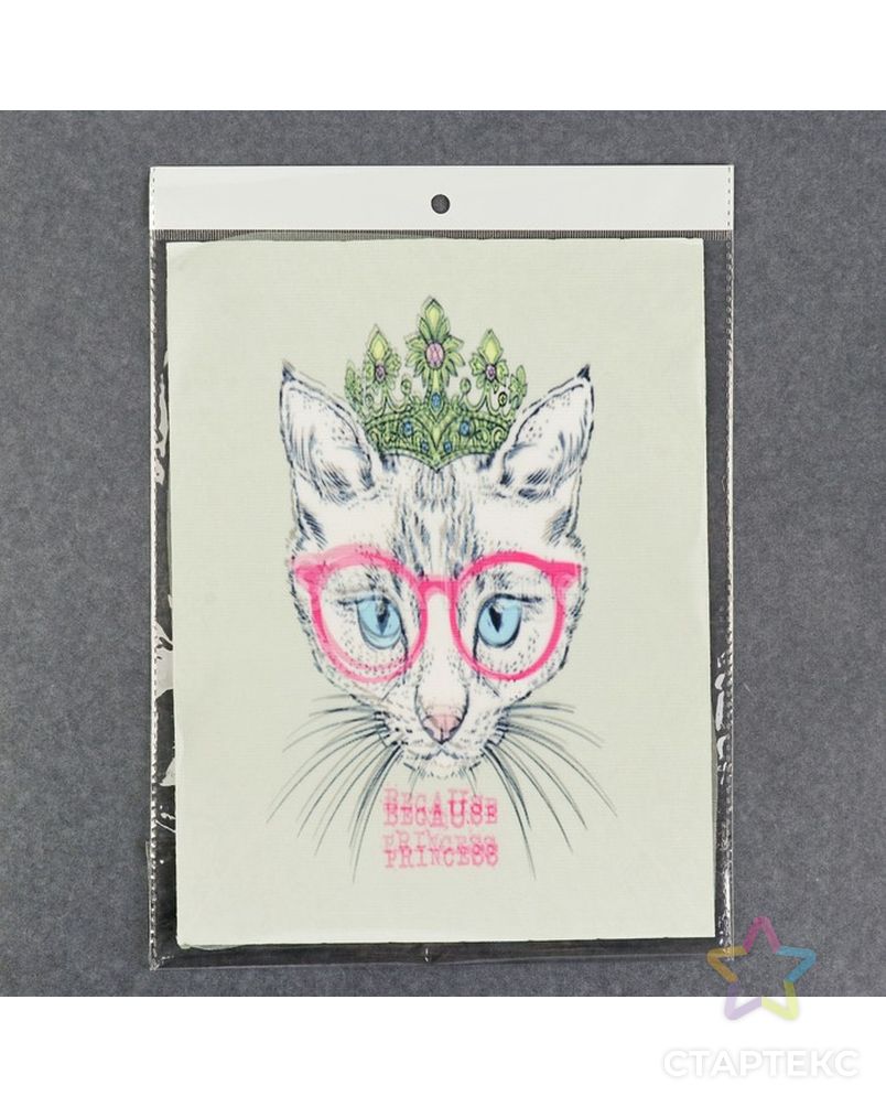 Пришивная аппликация «Кошка в очках», 3D р.20х27см (в упаковке 1 шт.) арт. СМЛ-13992-1-СМЛ3710518