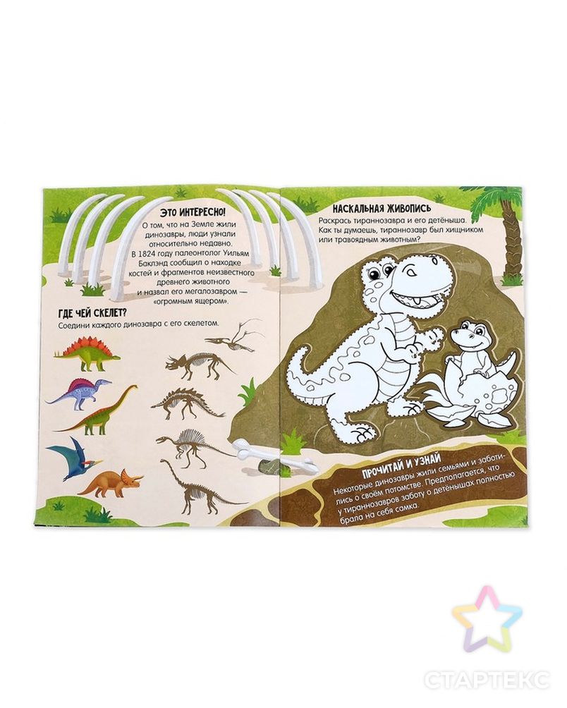 Активити книга с наклейками и растущими игрушками «Динозавры», 12 стр. арт. СМЛ-126890-1-СМЛ0003721383 3