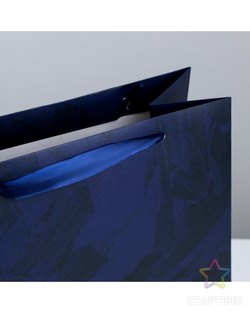 Пакет ламинированный вертикальный «Подарок», ML 23 × 27 × 11.5 см арт. СМЛ-114325-1-СМЛ0003747915 2