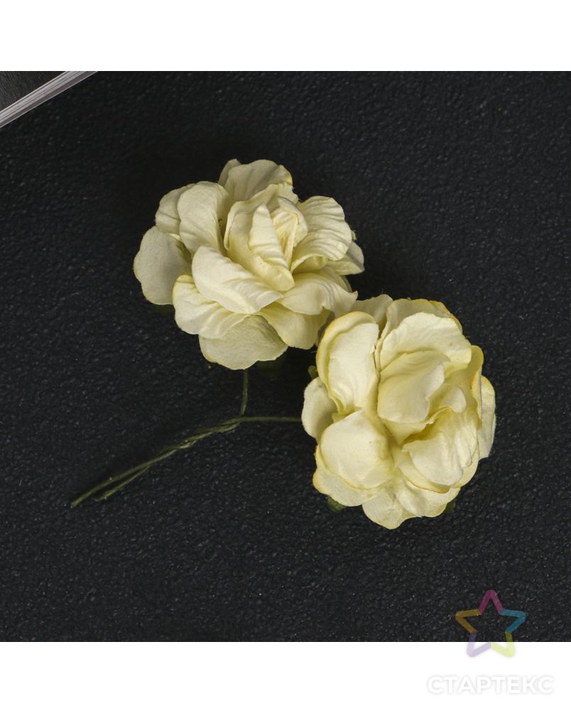 Кудрявые розы из бумаги "КРЕМОВЫЕ" (набор 8 шт) арт. СМЛ-14488-1-СМЛ3795647