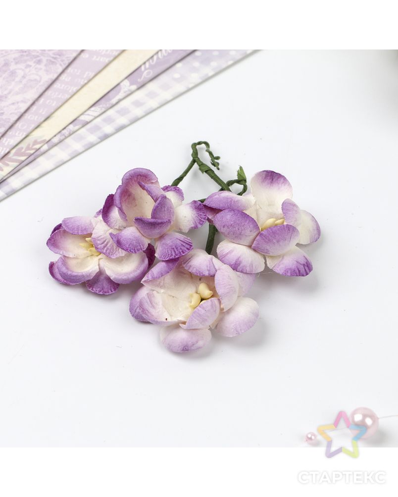 Цветы сакуры, набор 4 шт, диам 3,5 см, бело-фиолетовые арт. СМЛ-14496-1-СМЛ3798591 2