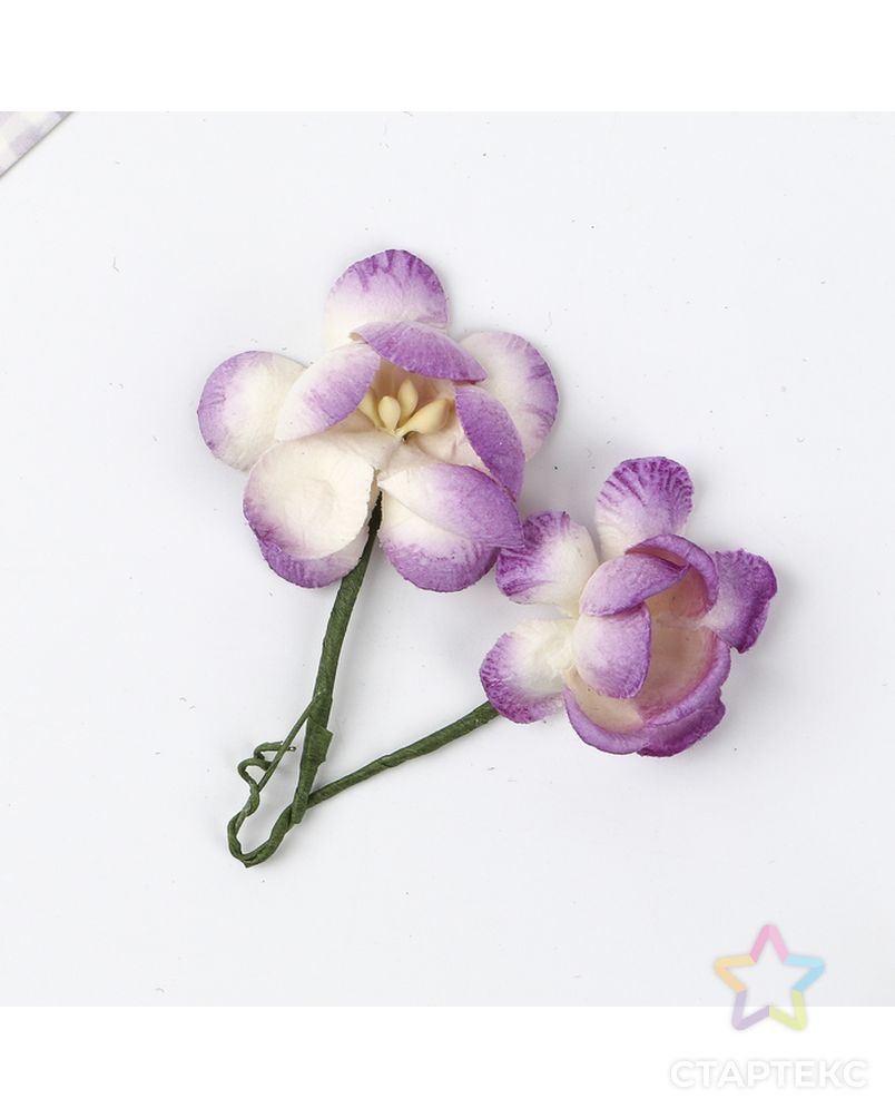 Цветы сакуры, набор 4 шт, диам 3,5 см, бело-фиолетовые арт. СМЛ-14496-1-СМЛ3798591