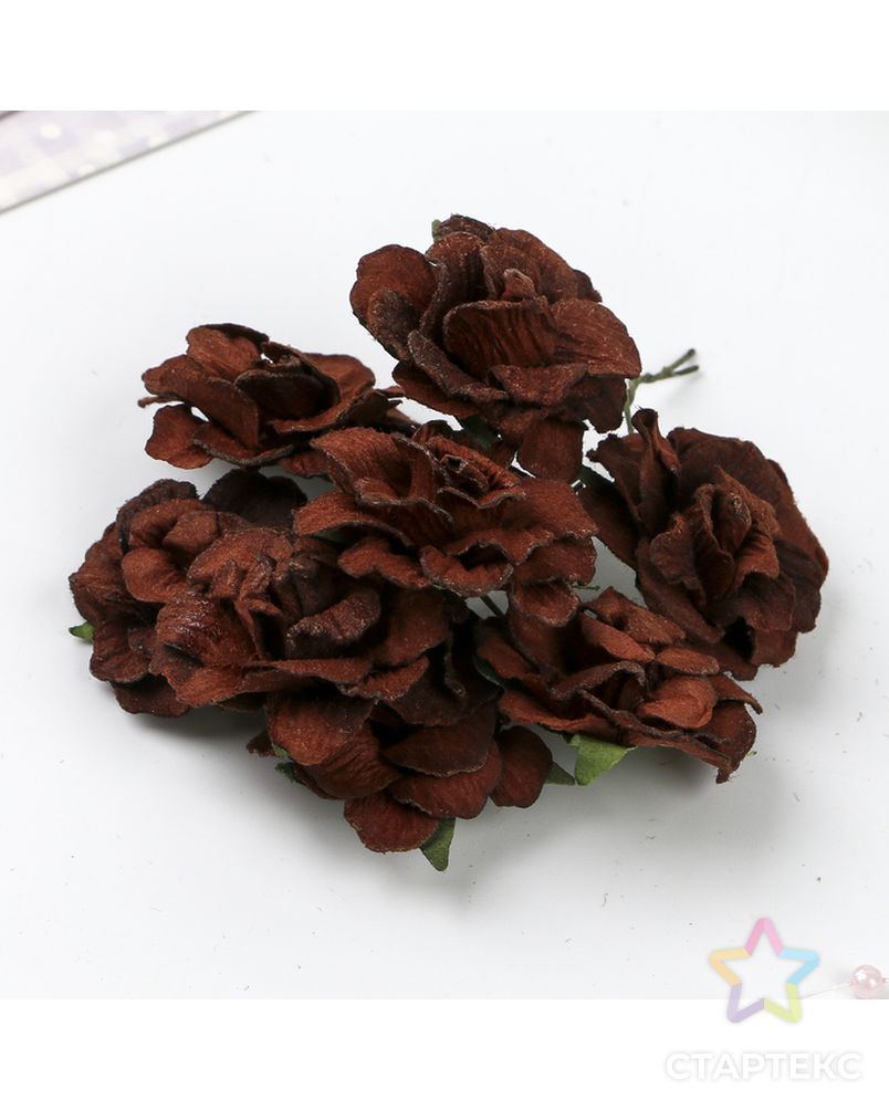Кудрявые розы из бумаги ТЕМНО-КОРИЧНЕВЫЕ (набор 8 шт) арт. СМЛ-14497-1-СМЛ3798597 2