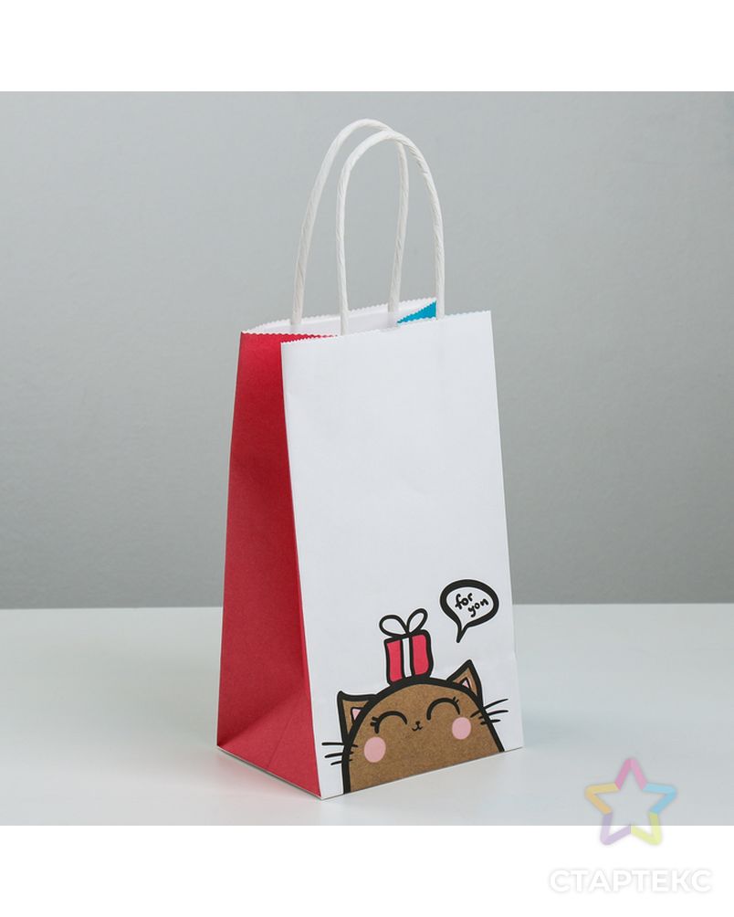 Пакет подарочный крафтовый «Котик», 25 × 22 × 12 см арт. СМЛ-101083-3-СМЛ0003823476 3