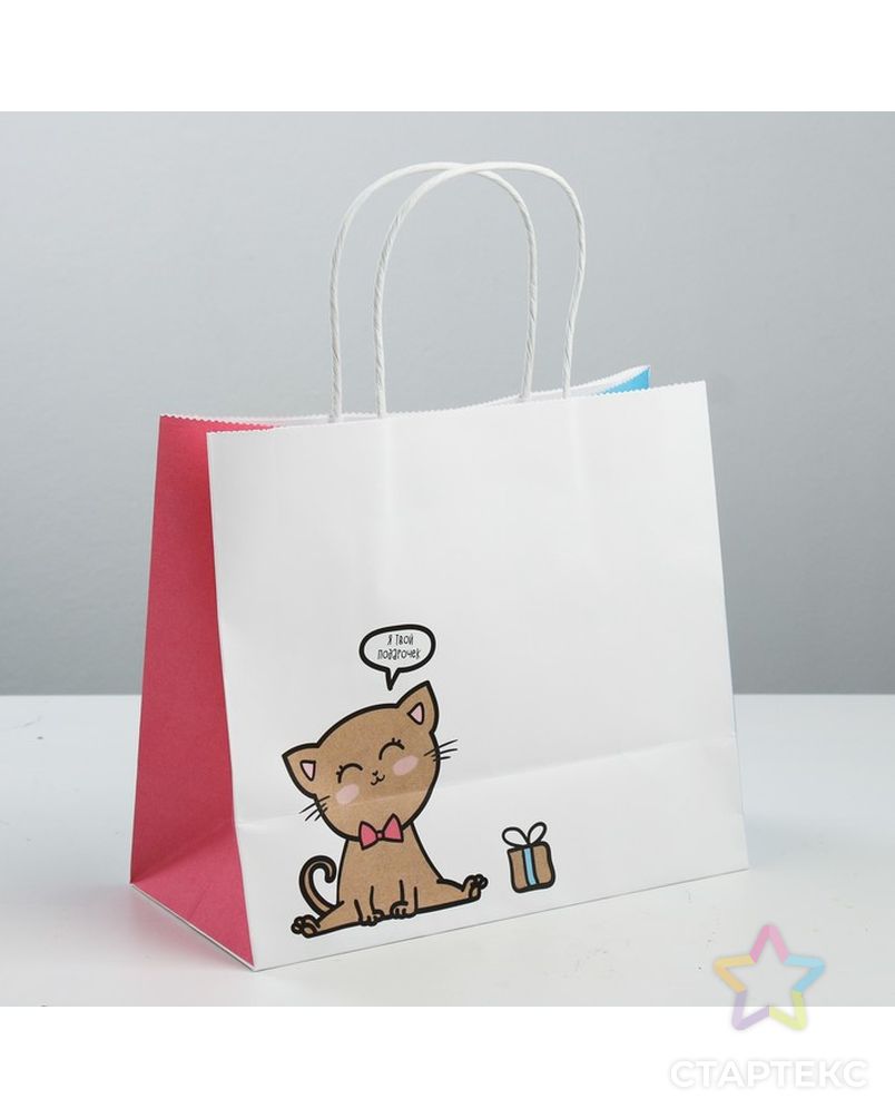 Пакет подарочный крафтовый «Котик», 25 × 22 × 12 см арт. СМЛ-101083-1-СМЛ0003823497 2